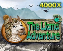 Llama Adventure - JPMAXWIN188
