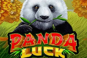 Panda Luck - JPMAXWIN188