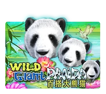 Joker123 : Wild Giant Panda - JPMAXWIN188