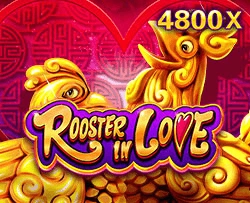 Rooster In Love - JPMAXWIN188