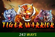 Spadegaming : Tiger Warrior - JPMAXWIN188